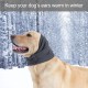 Hundehalsband Ohrenschützer, Bequeme Hunde-Ohrenschützer, Verstellbare Ohrenschutz Hund, Beruhigende Ohrenschützer für Hunde, Hunde-Ohrenschutz, zur Angstlinderung Beruhigung (Größe S) Hundehalsband Ohrenschützer, Bequeme Hunde-Ohrenschützer, Verstellbare Ohrenschutz Hund, Beruhigende Ohrenschützer für Hunde, Hunde-Ohrenschutz, zur Angstlinderung Beruhigung (Größe S)