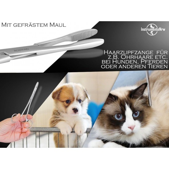 InstrumenteNrw Plucking Pliers for Dog Ears Hair Tongs Dog Hair Plucking Pliers Pet Hair Remover Stainless Steel with Inner Teeth without Lock Professional Quality (16 cm) InstrumenteNrw Plucking Pliers for Dog Ears Hair Tongs Dog Hair Plucking Pliers Pet Hair Remover Stainless Steel with Inner Teeth without Lock Professional Quality (16 cm)