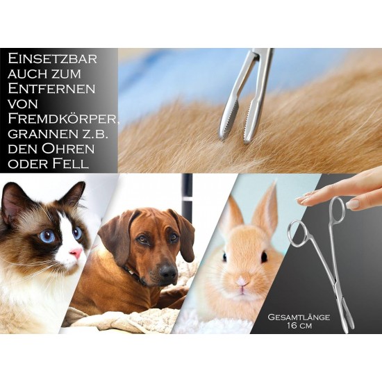 InstrumenteNrw Plucking Pliers for Dog Ears Hair Tongs Dog Hair Plucking Pliers Pet Hair Remover Stainless Steel with Inner Teeth without Lock Professional Quality (16 cm) InstrumenteNrw Plucking Pliers for Dog Ears Hair Tongs Dog Hair Plucking Pliers Pet Hair Remover Stainless Steel with Inner Teeth without Lock Professional Quality (16 cm)