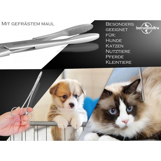 InstrumenteNrw Plucking Pliers for Dog Ears Hair Tongs Dog Hair Plucking Pliers Pet Hair Remover Stainless Steel with Inner Teeth without Lock Professional Quality (16 cm) InstrumenteNrw Plucking Pliers for Dog Ears Hair Tongs Dog Hair Plucking Pliers Pet Hair Remover Stainless Steel with Inner Teeth without Lock Professional Quality (16 cm)
