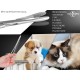 InstrumenteNrw Plucking Pliers for Dog Ears Hair Tongs Dog Hair Plucking Pliers Pet Hair Remover Stainless Steel with Inner Teeth without Lock Professional Quality (16 cm) InstrumenteNrw Plucking Pliers for Dog Ears Hair Tongs Dog Hair Plucking Pliers Pet Hair Remover Stainless Steel with Inner Teeth without Lock Professional Quality (16 cm)