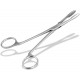 InstrumenteNrw Plucking Pliers for Dog Ears Hair Tongs Dog Hair Plucking Pliers Pet Hair Remover Stainless Steel with Inner Teeth without Lock Professional Quality (16 cm) InstrumenteNrw Plucking Pliers for Dog Ears Hair Tongs Dog Hair Plucking Pliers Pet Hair Remover Stainless Steel with Inner Teeth without Lock Professional Quality (16 cm)