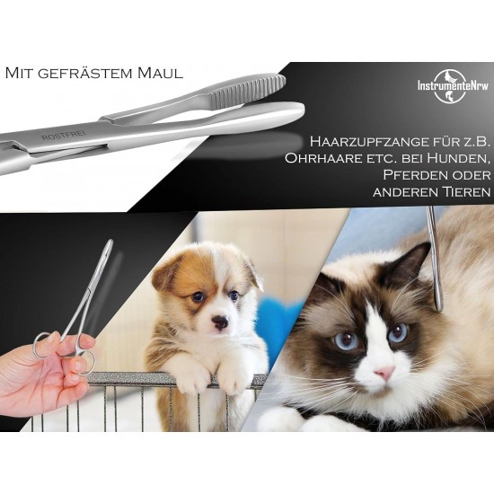 InstrumenteNrw Plucking Pliers for Dog Ears Hair Tongs Dog Hair Plucking Pliers Pet Hair Remover Stainless Steel with Inner Teeth without Lock Professional Quality (16 cm) InstrumenteNrw Plucking Pliers for Dog Ears Hair Tongs Dog Hair Plucking Pliers Pet Hair Remover Stainless Steel with Inner Teeth without Lock Professional Quality (16 cm)