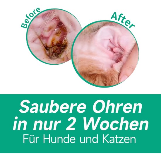 Jubelinn Ohrenreiniger mit Hamamelis für Hunde & Katzen – Bekämpft Ohrmilben & Entzündungen – Lindert Ohrgeruch & Juckreiz – Entfernt Ohrenschmalz – Ohrentropfen-Set mit 16 Ohrenstäbchen (60ml) Jubelinn Ohrenreiniger mit Hamamelis für Hunde & Katzen – Bekämpft Ohrmilben & Entzündungen – Lindert Ohrgeruch & Juckreiz – Entfernt Ohrenschmalz – Ohrentropfen-Set mit 16 Ohrenstäbchen (60ml)