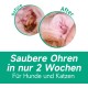 Jubelinn Ohrenreiniger mit Hamamelis für Hunde & Katzen – Bekämpft Ohrmilben & Entzündungen – Lindert Ohrgeruch & Juckreiz – Entfernt Ohrenschmalz – Ohrentropfen-Set mit 16 Ohrenstäbchen (60ml) Jubelinn Ohrenreiniger mit Hamamelis für Hunde & Katzen – Bekämpft Ohrmilben & Entzündungen – Lindert Ohrgeruch & Juckreiz – Entfernt Ohrenschmalz – Ohrentropfen-Set mit 16 Ohrenstäbchen (60ml)