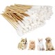 KHDULQ Pack of 100 Cotton Buds for Dogs, Ear Cleaners for Dogs, Mites, Dog Cotton Buds, Long Ear Cleaning Swabs, Ear Cleaning for Pets, Dogs, Cats KHDULQ Pack of 100 Cotton Buds for Dogs, Ear Cleaners for Dogs, Mites, Dog Cotton Buds, Long Ear Cleaning Swabs, Ear Cleaning for Pets, Dogs, Cats