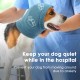 Katzinst Dog Hearing Protection, Elastic Knitted Ear Care Dog Hat, Noise Reduction, Anxiety Relief and Soothing Dog Ears, Dog Ear Care, (Blue, S)