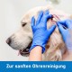Kosmetex 100 x Ear Cleaning for Dogs, 15 cm, Wide 1 cm Thick Cotton Head, Cotton Buds, Long Large Head, Ear Cleaner, Ear Cleaning Sticks for Pets, Dogs, Cats