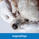 Kosmetex 100 x Ear Cleaning for Dogs, 15 cm, Wide 1 cm Thick Cotton Head, Cotton Buds, Long Large Head, Ear Cleaner, Ear Cleaning Sticks for Pets, Dogs, Cats