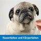 Kosmetex 100 x Ear Cleaning for Dogs, 15 cm, Wide 1 cm Thick Cotton Head, Cotton Buds, Long Large Head, Ear Cleaner, Ear Cleaning Sticks for Pets, Dogs, Cats