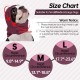 Lelepet Dog Ear Protection, Ear Protection for Dogs, Dog Earmuffs for Noise Reduction, Dog Ear Care, Dog Neck and Ear Warmers for Dogs, Soothing Hoodie for Dogs, Grey S Lelepet Dog Ear Protection, Ear Protection for Dogs, Dog Earmuffs for Noise Reduction, Dog Ear Care, Dog Neck and Ear Warmers for Dogs, Soothing Hoodie for Dogs, Grey S