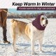 Lelepet Dog Ear Protection, Ear Protection for Dogs, Dog Earmuffs for Noise Reduction, Dog Ear Care, Dog Neck and Ear Warmers for Dogs, Soothing Hoodie for Dogs, Grey S Lelepet Dog Ear Protection, Ear Protection for Dogs, Dog Earmuffs for Noise Reduction, Dog Ear Care, Dog Neck and Ear Warmers for Dogs, Soothing Hoodie for Dogs, Grey S