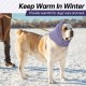 Lelepet Dog Ear Protection, Ear Protection for Dogs, Dog Earmuffs for Noise Reduction, Dog Ear Care, Dog Neck and Ear Warmers for Dogs, Soothing Hoodie for Dogs, Grey S Lelepet Dog Ear Protection, Ear Protection for Dogs, Dog Earmuffs for Noise Reduction, Dog Ear Care, Dog Neck and Ear Warmers for Dogs, Soothing Hoodie for Dogs, Grey S
