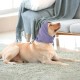 Lelepet Dog Ear Protection, Ear Protection for Dogs, Dog Earmuffs for Noise Reduction, Dog Ear Care, Dog Neck and Ear Warmers for Dogs, Soothing Hoodie for Dogs, Grey S Lelepet Dog Ear Protection, Ear Protection for Dogs, Dog Earmuffs for Noise Reduction, Dog Ear Care, Dog Neck and Ear Warmers for Dogs, Soothing Hoodie for Dogs, Grey S