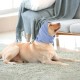 Lelepet Dog Ear Protection, Ear Protection for Dogs, Dog Earmuffs for Noise Reduction, Dog Ear Care, Dog Neck and Ear Warmers for Dogs, Soothing Hoodie for Dogs, Grey S Lelepet Dog Ear Protection, Ear Protection for Dogs, Dog Earmuffs for Noise Reduction, Dog Ear Care, Dog Neck and Ear Warmers for Dogs, Soothing Hoodie for Dogs, Grey S