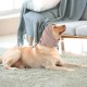 Lelepet Dog Ear Protection, Ear Protection for Dogs, Dog Earmuffs for Noise Reduction, Dog Ear Care, Dog Neck and Ear Warmers for Dogs, Soothing Hoodie for Dogs, Grey S Lelepet Dog Ear Protection, Ear Protection for Dogs, Dog Earmuffs for Noise Reduction, Dog Ear Care, Dog Neck and Ear Warmers for Dogs, Soothing Hoodie for Dogs, Grey S