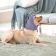 Lelepet Ear Defenders for Dogs - Earmuffs for Noise Reduction, Ear Care, Neck and Ear Warmers, Soothing Hoodie - Blue M Lelepet Ear Defenders for Dogs - Earmuffs for Noise Reduction, Ear Care, Neck and Ear Warmers, Soothing Hoodie - Blue M