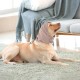 Lelepet Ear Defenders for Dogs - Earmuffs for Noise Reduction, Ear Care, Neck and Ear Warmers, Soothing Hoodie - Blue M Lelepet Ear Defenders for Dogs - Earmuffs for Noise Reduction, Ear Care, Neck and Ear Warmers, Soothing Hoodie - Blue M