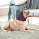 Lelepet Ear Defenders for Dogs - Earmuffs for Noise Reduction, Ear Care, Neck and Ear Warmers, Soothing Hoodie - Blue M Lelepet Ear Defenders for Dogs - Earmuffs for Noise Reduction, Ear Care, Neck and Ear Warmers, Soothing Hoodie - Blue M