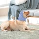 Lelepet Ear Defenders for Dogs - Earmuffs for Noise Reduction, Ear Care, Neck and Ear Warmers, Soothing Hoodie - Blue M Lelepet Ear Defenders for Dogs - Earmuffs for Noise Reduction, Ear Care, Neck and Ear Warmers, Soothing Hoodie - Blue M
