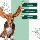 Linea 101 Soothing Lotion for Dogs and Cats for Ears and Sensitive Areas, 100 ml, Relieves Itching and Dryness - Moisturising Cleansing - With Chamomile Extracts - Made in Linea 101 Soothing Lotion for Dogs and Cats for Ears and Sensitive Areas, 100 ml, Relieves Itching and Dryness - Moisturising Cleansing - With Chamomile Extracts - Made in