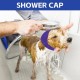 MANON ROSA Dog Swim Caps, Waterproof All-Weather Scarf for Bathing, Rainy Days, Swimming, Ear Protection and Travel Accessories for Small Medium Large Dogs, Puppies, 2 Pack (1 x MANON ROSA Dog Swim Caps, Waterproof All-Weather Scarf for Bathing, Rainy Days, Swimming, Ear Protection and Travel Accessories for Small Medium Large Dogs, Puppies, 2 Pack (1 x