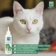 MENFORSAN Ear Cleaner for Dogs and Cats - 125ml Pack of 2 Units Natural Cleaner Alcohol Free Helps Prevent and Fight Pet Otitis Colorless MENFORSAN Ear Cleaner for Dogs and Cats - 125ml Pack of 2 Units Natural Cleaner Alcohol Free Helps Prevent and Fight Pet Otitis Colorless