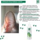 MENFORSAN Ear Cleaner for Dogs and Cats - 125ml Pack of 2 Units Natural Cleaner Alcohol Free Helps Prevent and Fight Pet Otitis Colorless MENFORSAN Ear Cleaner for Dogs and Cats - 125ml Pack of 2 Units Natural Cleaner Alcohol Free Helps Prevent and Fight Pet Otitis Colorless