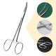 MWUMRCM Plucking Pliers for Dog Ears, 1 Piece Non-Slip Clamp Nurse, Artery Clamp Fishing, Ear Cleaner Dog, Dog Hair Removal Ear for Removing Lice Pet Ear Canals MWUMRCM Plucking Pliers for Dog Ears, 1 Piece Non-Slip Clamp Nurse, Artery Clamp Fishing, Ear Cleaner Dog, Dog Hair Removal Ear for Removing Lice Pet Ear Canals