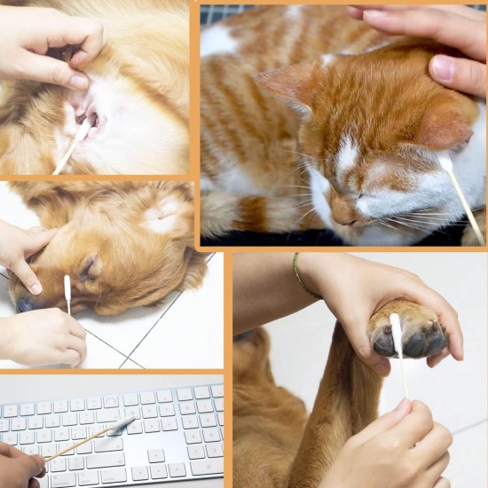 MZQSIY 100pcs Pet Ear Cleaners Bamboo Cotton Buds 15.5cm Upgraded Long Stick Wax Remover Itchy Ears Cleaning Swabs for Cleaning Animals Infection MZQSIY 100pcs Pet Ear Cleaners Bamboo Cotton Buds 15.5cm Upgraded Long Stick Wax Remover Itchy Ears Cleaning Swabs for Cleaning Animals Infection