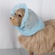 Mesh Dog Ear Cover, Soft, Breathable Dog Ear Covers, Elastic Insects, Cute Puppy Earmuffs for Hiking, Camping and Other Outdoor Activities (L 36 x 25 x 3 cm) Mesh Dog Ear Cover, Soft, Breathable Dog Ear Covers, Elastic Insects, Cute Puppy Earmuffs for Hiking, Camping and Other Outdoor Activities (L 36 x 25 x 3 cm)