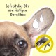 MilbenEx Ear Cleaner 50 ml - Fast Effectiveness - Against Ear Mites - Good Skin Compatibility - Easy to Use MilbenEx Ear Cleaner 50 ml - Fast Effectiveness - Against Ear Mites - Good Skin Compatibility - Easy to Use
