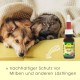 MilbenEx Ear Cleaner 50 ml - Fast Effectiveness - Against Ear Mites - Good Skin Compatibility - Easy to Use MilbenEx Ear Cleaner 50 ml - Fast Effectiveness - Against Ear Mites - Good Skin Compatibility - Easy to Use
