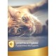 Natural and Herbal Ear Cleaner 100 ml for Odours, Blockages, Irritation, Attraction and Scuffs - for Cleaning Dogs and Cats - Line 101 Natural and Herbal Ear Cleaner 100 ml for Odours, Blockages, Irritation, Attraction and Scuffs - for Cleaning Dogs and Cats - Line 101