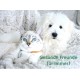 Nature Exclusive Ear Cleaner + Silver Nature Exclusive Ear Cleaner + Silver