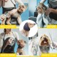 Norhogo Multifunctional Soft Pet Earmuffs for Dogs, Earmuffs, Noise Protection, Neck and Ear Warmers, Quiet Earmuffs for Anxiety Relief, Bathing, Grooming for Dog and Cat (Grey Norhogo Multifunctional Soft Pet Earmuffs for Dogs, Earmuffs, Noise Protection, Neck and Ear Warmers, Quiet Earmuffs for Anxiety Relief, Bathing, Grooming for Dog and Cat (Grey