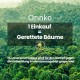 ORINKO Bamboo Ear Cleaner - Sustainable Oriculi for Gentle & Environmentally Friendly Ear Hygiene (Pack of 10) ORINKO Bamboo Ear Cleaner - Sustainable Oriculi for Gentle & Environmentally Friendly Ear Hygiene (Pack of 10)