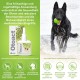 Otoact ceruminolytic ear cleaner for dogs and cats, 100ml Otoact ceruminolytic ear cleaner for dogs and cats, 100ml