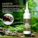 PAW WOW Natural Dog Ear Wash 100 ml Gentle Deep Cleaning & Odour Protection with Liver Moss, Cistus, Marigolds and Black Cumin 100% Natural without Artificial Additives PAW WOW Natural Dog Ear Wash 100 ml Gentle Deep Cleaning & Odour Protection with Liver Moss, Cistus, Marigolds and Black Cumin 100% Natural without Artificial Additives
