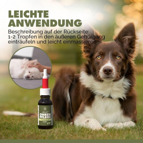 PAW WOW Natural Ear Care 20 ml for Dogs Mild Cleaning & Gentle Care Ear Drops with Liver Moss, Arnica Blossom, Marigold & Neem Oil Without Artificial Additives PAW WOW Natural Ear Care 20 ml for Dogs Mild Cleaning & Gentle Care Ear Drops with Liver Moss, Arnica Blossom, Marigold & Neem Oil Without Artificial Additives