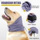 PAWIVID Dog Ear Muffs & No Shake Ear Wrap for Hematoma, Bathing, Drying & Relief of Noise Deficiency - Elastic Ear Protection with Soothing Hoodie Design for Care/Head Ear Protection (Grey, Small) PAWIVID Dog Ear Muffs & No Shake Ear Wrap for Hematoma, Bathing, Drying & Relief of Noise Deficiency - Elastic Ear Protection with Soothing Hoodie Design for Care/Head Ear Protection (Grey, Small)