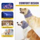 PAWIVID Dog Ear Muffs & No Shake Ear Wrap for Hematoma, Bathing, Drying & Relief of Noise Deficiency - Elastic Ear Protection with Soothing Hoodie Design for Care/Head Ear Protection (Grey, Small) PAWIVID Dog Ear Muffs & No Shake Ear Wrap for Hematoma, Bathing, Drying & Relief of Noise Deficiency - Elastic Ear Protection with Soothing Hoodie Design for Care/Head Ear Protection (Grey, Small)
