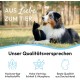 PHA OhrenPflege Drops for Dogs & Cats - Gentle Cleaning & Care of Ears with Tea Tree Oil & Panthenol, Against Itching & Earwax, 100 ml PHA OhrenPflege Drops for Dogs & Cats - Gentle Cleaning & Care of Ears with Tea Tree Oil & Panthenol, Against Itching & Earwax, 100 ml