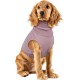 PUMYPOREITY Wound Protection Suits for Dogs, Neck Protection Dog After Surgery, Wound Protection, Body Dog Suit After Surgery, Head Wrap, Ears, Hoodie, Hearing Protection, Dog, New Year's Eve PUMYPOREITY Wound Protection Suits for Dogs, Neck Protection Dog After Surgery, Wound Protection, Body Dog Suit After Surgery, Head Wrap, Ears, Hoodie, Hearing Protection, Dog, New Year's Eve