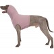 PUMYPOREITY Wound Protection Suits for Dogs, Neck Protection Dog After Surgery, Wound Protection, Body Dog Suit After Surgery, Head Wrap, Ears, Hoodie, Hearing Protection, Dog, New Year's Eve PUMYPOREITY Wound Protection Suits for Dogs, Neck Protection Dog After Surgery, Wound Protection, Body Dog Suit After Surgery, Head Wrap, Ears, Hoodie, Hearing Protection, Dog, New Year's Eve