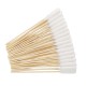 Pack of 100 Cotton Buds for Dog Ears, Professional Dirt Removal, Cotton Buds for Cleaning Dog Ears Pack of 100 Cotton Buds for Dog Ears, Professional Dirt Removal, Cotton Buds for Cleaning Dog Ears