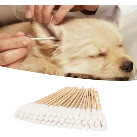 Pack of 100 Cotton Buds for Dogs and Cats, 6 Inch Long Cotton Buds, Pet Extension Cotton Buds for Cleaning Dogs and Cat Ears, Applying Medicine Pack of 100 Cotton Buds for Dogs and Cats, 6 Inch Long Cotton Buds, Pet Extension Cotton Buds for Cleaning Dogs and Cat Ears, Applying Medicine