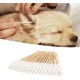 Pack of 100 Cotton Buds for Dogs and Cats, 6 Inch Long Cotton Buds, Pet Extension Cotton Buds for Cleaning Dogs and Cat Ears, Applying Medicine Pack of 100 Cotton Buds for Dogs and Cats, 6 Inch Long Cotton Buds, Pet Extension Cotton Buds for Cleaning Dogs and Cat Ears, Applying Medicine