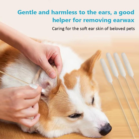 Pack of 100 Ear Cleaner Cotton Buds Long Large for Pets Dog Cat (15 cm) Pack of 100 Ear Cleaner Cotton Buds Long Large for Pets Dog Cat (15 cm)
