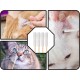 Pack of 100 Ear Cleaning for Dogs, Dogs Cleaning Cotton Buds, 12 cm Ear Cleaning Sticks with Round Tip, Ear Sticks Cotton Buds for Pets, Dogs, Cats Pack of 100 Ear Cleaning for Dogs, Dogs Cleaning Cotton Buds, 12 cm Ear Cleaning Sticks with Round Tip, Ear Sticks Cotton Buds for Pets, Dogs, Cats